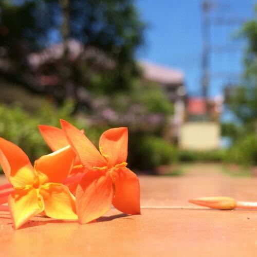 สมาชิกหมายเลข 4840127