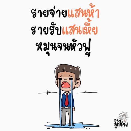 สมาชิกหมายเลข 4897001