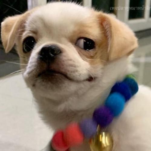 สมาชิกหมายเลข 1166636