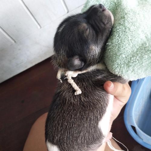 สมาชิกหมายเลข 5112600