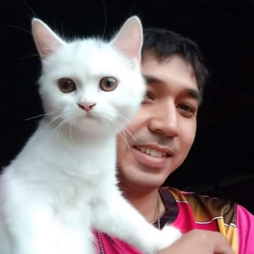 สมาชิกหมายเลข 1280651