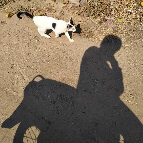 สมาชิกหมายเลข 6557279