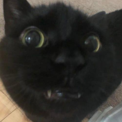 สมาชิกหมายเลข 7792234