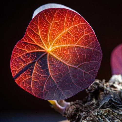 สมาชิกหมายเลข 8578072