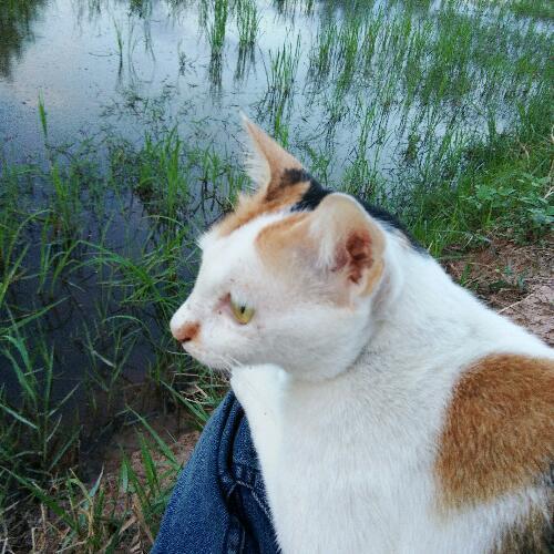 สมาชิกหมายเลข 2547647