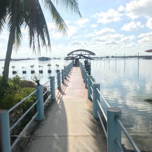 สมาชิกหมายเลข 4419948