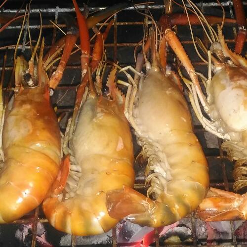 สมาชิกหมายเลข 4505622