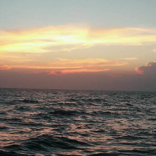 สมาชิกหมายเลข 4505870