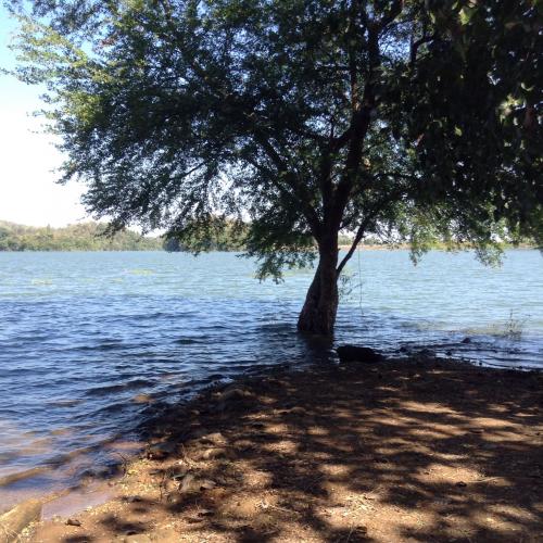 สมาชิกหมายเลข 4506035