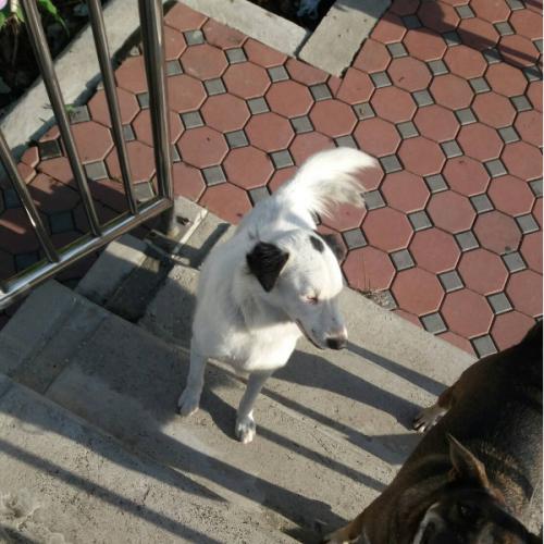 สมาชิกหมายเลข 2475683