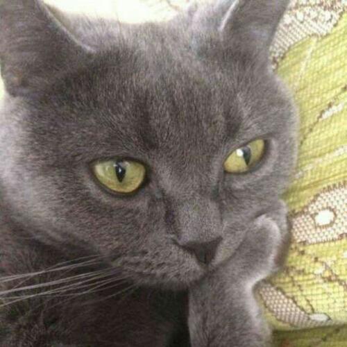 สมาชิกหมายเลข 4840172