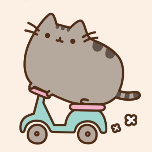 สมาชิกหมายเลข 5651263