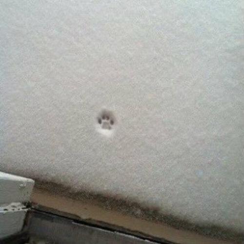 สมาชิกหมายเลข 3993322