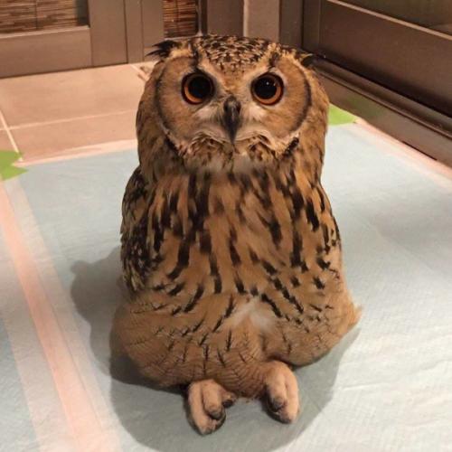 สมาชิกหมายเลข 5829951