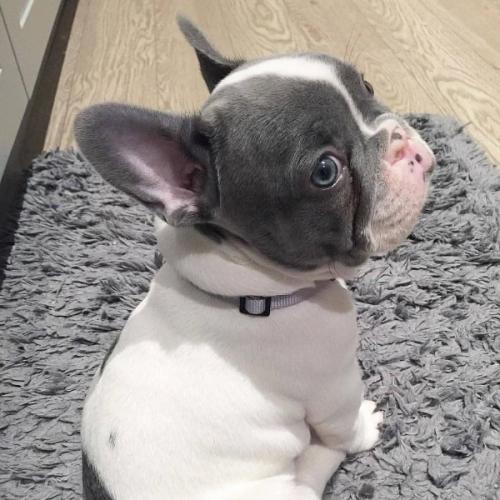 สมาชิกหมายเลข 6131972