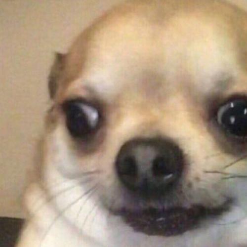 สมาชิกหมายเลข 6223336