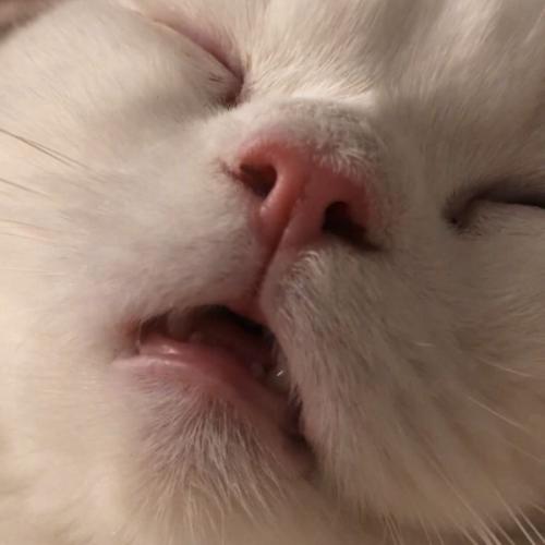 สมาชิกหมายเลข 6223678