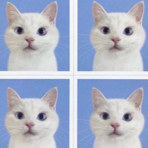 สมาชิกหมายเลข 5363494