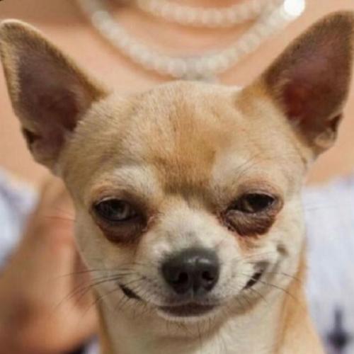 สมาชิกหมายเลข 6874918