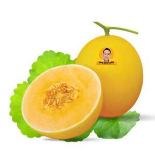 สมาชิกหมายเลข 7639136