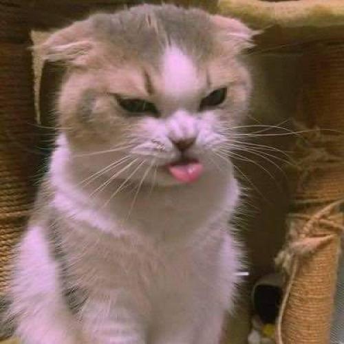 สมาชิกหมายเลข 7639556