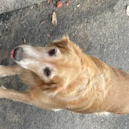 สมาชิกหมายเลข 7639675