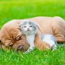 สมาชิกหมายเลข 2742092