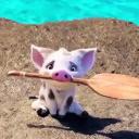 สมาชิกหมายเลข 4051659