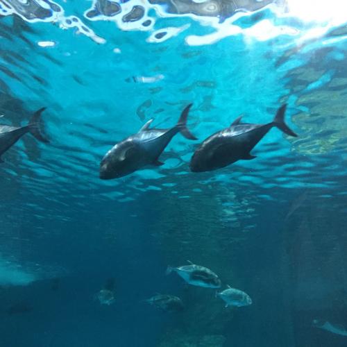 สมาชิกหมายเลข 3427468