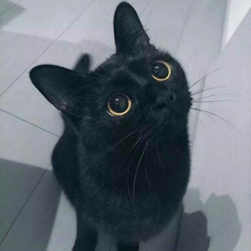 สมาชิกหมายเลข 2850626