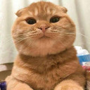 สมาชิกหมายเลข 5016910