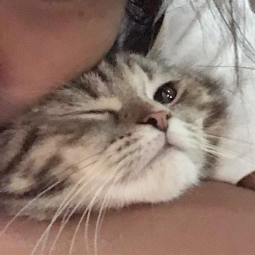 สมาชิกหมายเลข 5651198