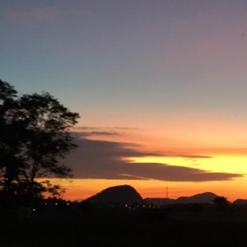 สมาชิกหมายเลข 6875198