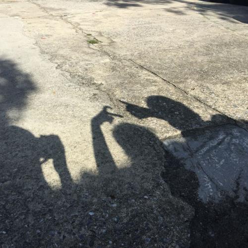 สมาชิกหมายเลข 7359019