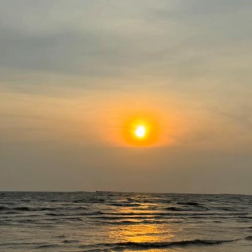 สมาชิกหมายเลข 8552049