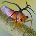 สมาชิกหมายเลข 3790362