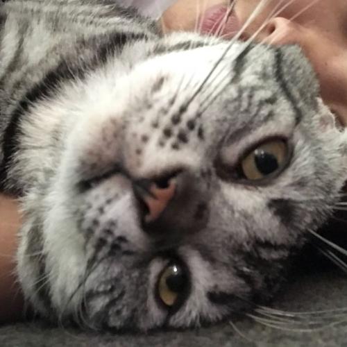 เจ้าหนูกุ๊กกิ๊ก