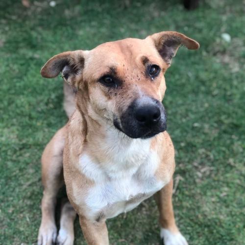 สมาชิกหมายเลข 4860604