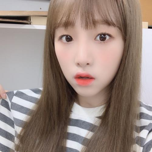 สมาชิกหมายเลข 5228188