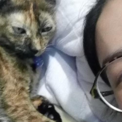 สมาชิกหมายเลข 3400938