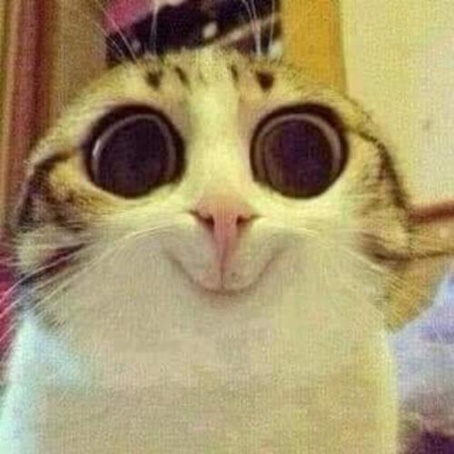 สมาชิกหมายเลข 6224671