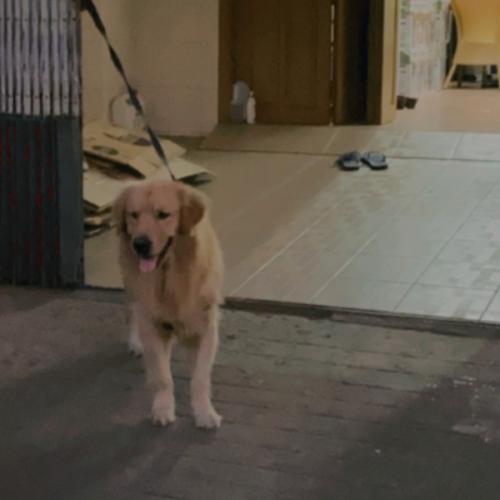 สมาชิกหมายเลข 6225018