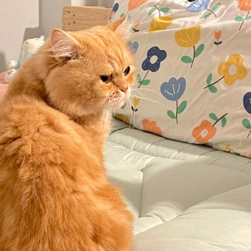 สมาชิกหมายเลข 7628295