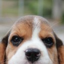 สมาชิกหมายเลข 3923359