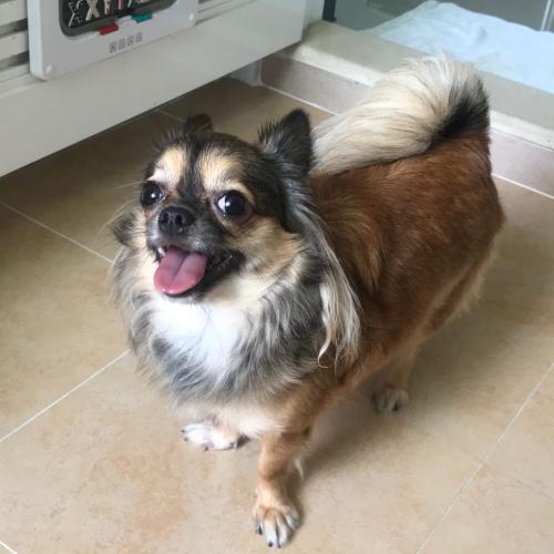 รักแท้รักที่อะไร ตับไตไส้พุง