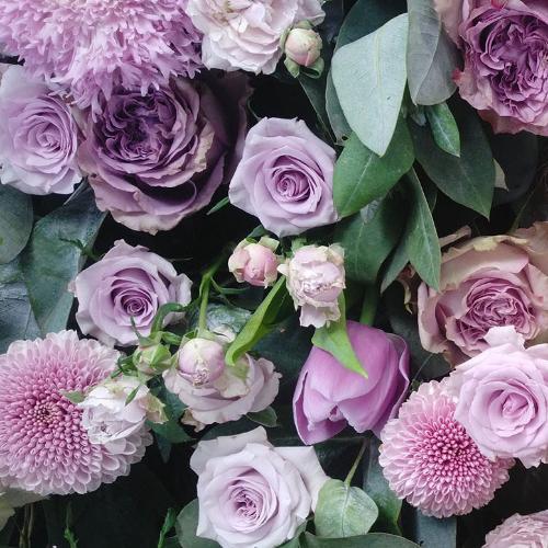 สมาชิกหมายเลข 4841419