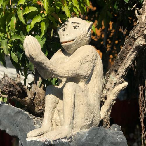 สมาชิกหมายเลข 5651074