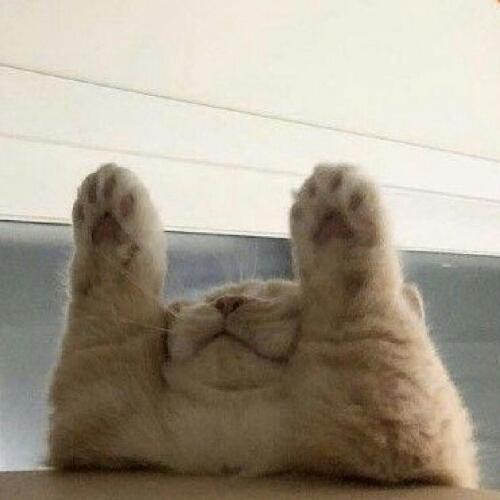 สมาชิกหมายเลข 5652973