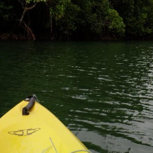 สมาชิกหมายเลข 5717788