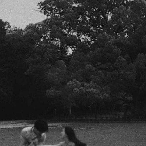 สมาชิกหมายเลข 5686736